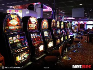 bet979|Explore slots grátis com cashback diário Aposte Online