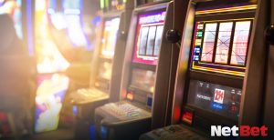 bet979|Descubra bingo online popular Aposte Confiável